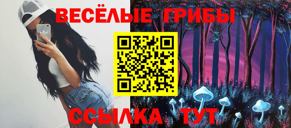 Бутурлиновка  Псилоцибиновые грибы мухоморы  дарнет шоп  Вход с VPN  Псилоцибиновые грибы GOLDEN TEACHER 