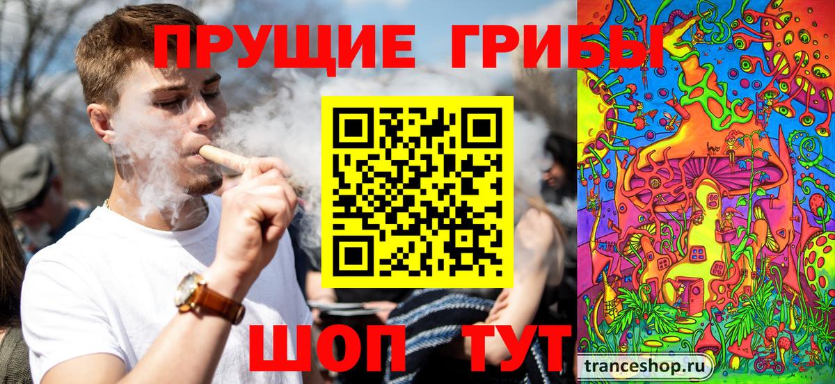 Псилоцибиновые грибы Cubensis Бутурлиновка